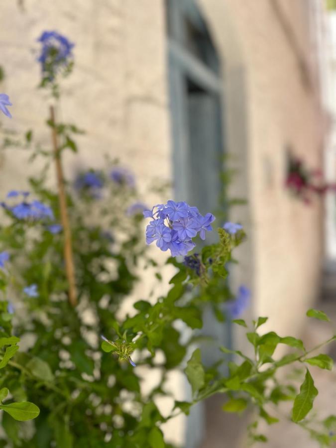 Willa Bianco Calce - Ostuni Zewnętrze zdjęcie